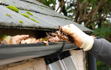 gutter cleaning Brunant, Powys
