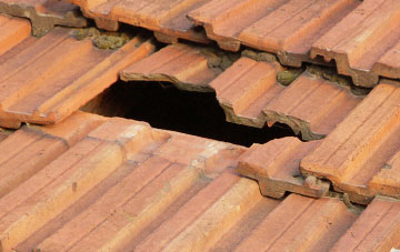 roof repair Brunant, Powys